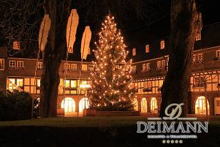 Winkhausen: Hotel Deimann, Weihnachtsbaum (Quelle:Hotel Deimann)